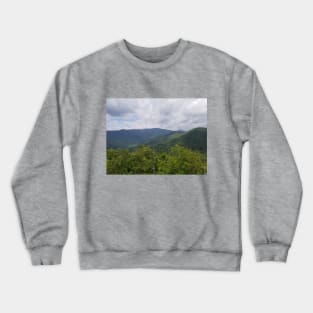 Sunny Day Crewneck Sweatshirt